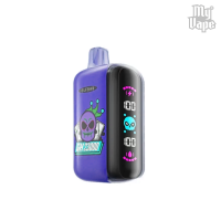 Одноразова POD система Elf Bar GH23000 Grape Ice